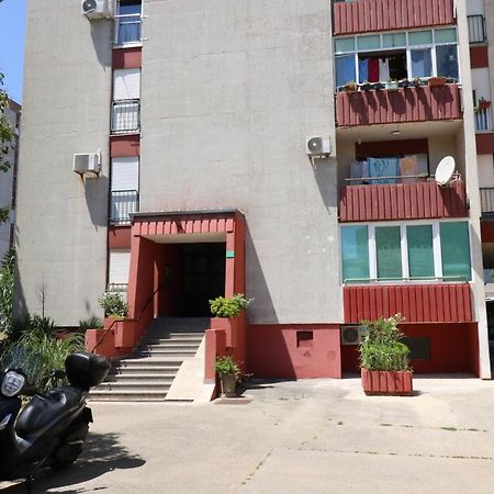 Sneky Daire Pula Dış mekan fotoğraf
